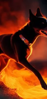 Fiery dog running through bright orange flames on a dark, moody background.