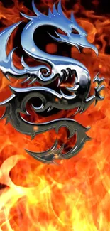 Metallic dragon with fiery flames background wallpaper.