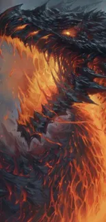 Epic fiery dragon artwork with vibrant orange flames.