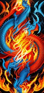 Fiery duel between blue and red dragons with intense flames.