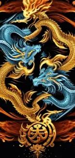 Vibrant mobile wallpaper with blue and gold dragons intertwined.