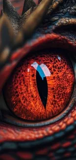 Close-up of a fiery dragon eye with vibrant red details.