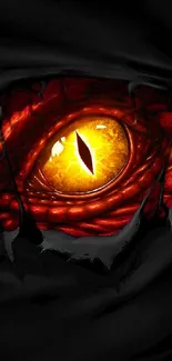 Fiery dragon eye with vibrant colors and intense gaze on dark background.