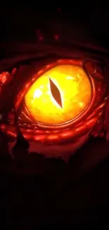 Fiery dragon eye with glowing orange hues on a dark background.