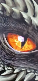 Closeup of a dragon's fiery orange eye in detail.