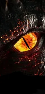 Close-up of a dragon's fiery orange eye with textured scales.