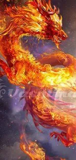 Fiery orange dragon in a fantasy art wallpaper background.