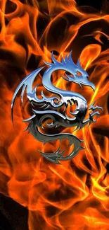 Fiery orange dragon design mobile wallpaper with flames.