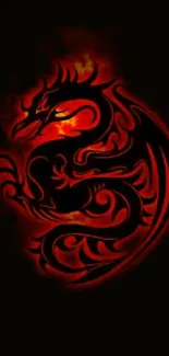 Fiery dragon on dark background, artistic wallpaper.