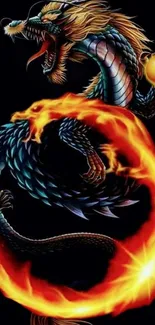 Fiery dragon embracing a glowing orb on a dark background.