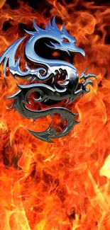 Chrome dragon emblem on vibrant orange flames background.