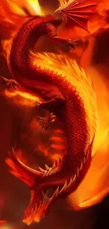 Fiery red dragon wallpaper with vibrant flames.