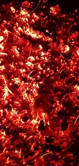 Fiery red embers glowing intensely in a dark background