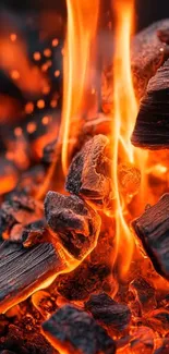 Burning embers and flames in a dynamic wallpaper.