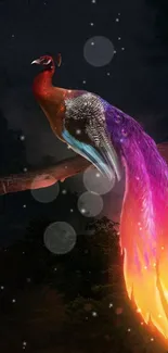 Fiery fantasy bird with vibrant tail in mystical forest setting.