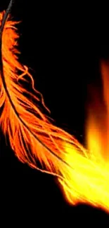 Fiery feather with orange flames on black background. Perfect for mobile wallpaper.