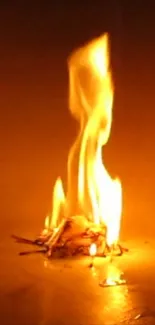 A bright, fiery flame burns against an orange background, creating a warm glow.