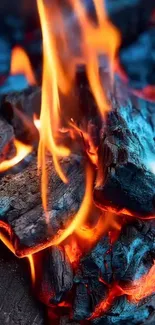 Close-up of vibrant orange flames and embers.