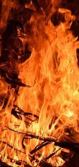 Vivid orange flames showcasing intense heat on a mobile wallpaper.