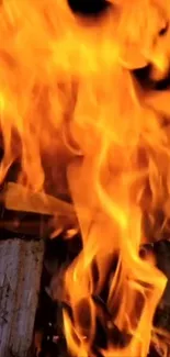 Close-up shot of blazing orange flames on wood.