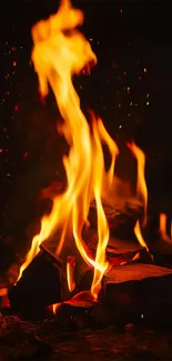 Vibrant flames rise in a dark setting.