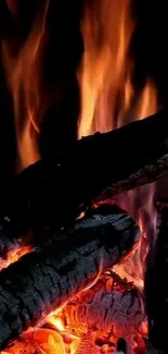 Burning logs with bright flames on a black background.