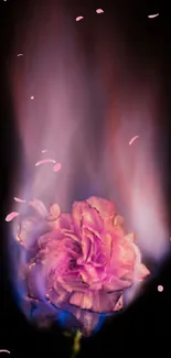 Vibrant pink flower engulfed in artistic flames against a dark background.