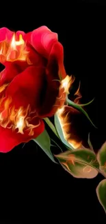 Artistic fiery rose with flames against dark background, ideal mobile wallpaper.