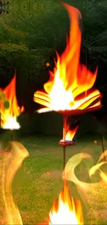 Vibrant flames in a lush garden setting wallpaper.