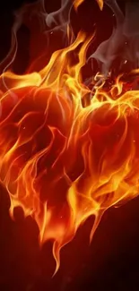 Fiery heart with flames against a dark background.
