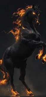 Majestic black horse with fiery mane.