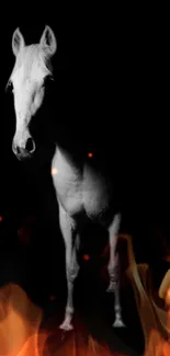 Majestic white horse with flames on black background wallpaper.