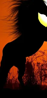 Silhouette of a horse under a fiery orange sunset.