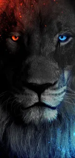 Lion wallpaper with fiery red and icy blue contrasting eyes.