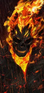 Blazing skull artwork with dark fiery background.