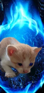 Curious kitten with blue fiery aura over cityscape.