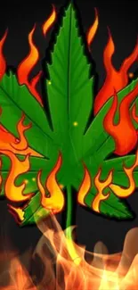 Green leaf with orange flames on dark background wallpaper.