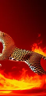 Leopard leaping through fiery flames on a red background.