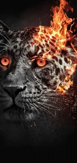 Leopard's face with fiery flames on a dark background wallpaper.