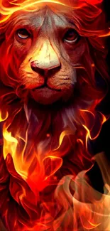 Fiery lion art mobile wallpaper with vibrant flames.