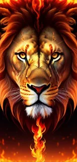 Fiery lion wallpaper with glowing mane and intense gaze.