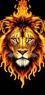 Fiery lion with flames on a vibrant wallpaper background.