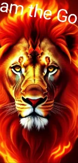 Fiery lion with glowing mane and intense gaze in artwork wallpaper.