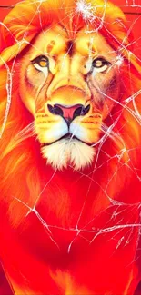 Fiery red lion with cracked screen effect wallpaper.