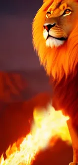 Majestic lion with flaming orange mane on a dark fiery background wallpaper.