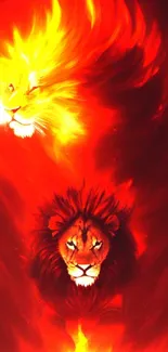 Fiery red and yellow lion digital art design.