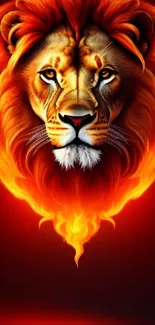 A powerful lion head engulfed in fiery flames on a dark background.