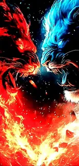 A vibrant blue and red lion duo in a fiery standoff wallpaper.