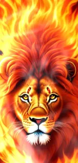 Lion with fiery mane digital art wallpaper.