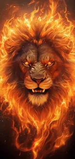 Fiery lion head with blazing mane on screen.